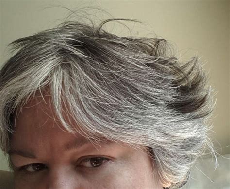 17 Best Images About Canas Corto Sauvage Short Gray Hair