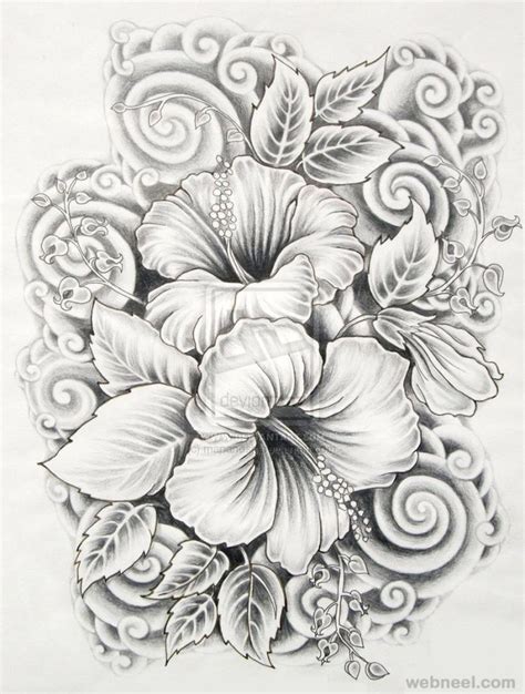 drawings  flowers hibiscus