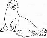 Seal Drawing Harp Coloring Pages Monk Color Seals Baby Printable Print Mom Getdrawings Colouring Getcolorings Paintingvalley Drawings sketch template