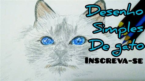 como desenhar um gato how to draw a cat youtube