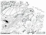 Underwater Coloring Pages Adults Color Under Plants Sea Getcolorings Print Getdrawings sketch template