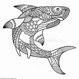Shark Zentangle Getcoloringpages sketch template