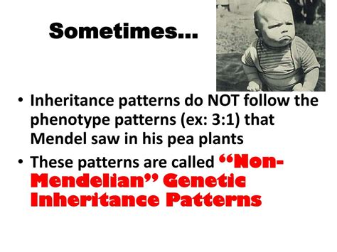 Ppt Non Mendelian Inheritance Patterns Modes Of Inheritance H