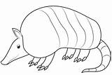 Coloring Armadillo Pages Printable Drawing Armadillos Categories sketch template