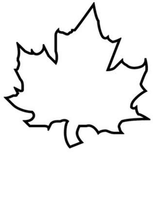 leaf coloring pages  coloring pages  print