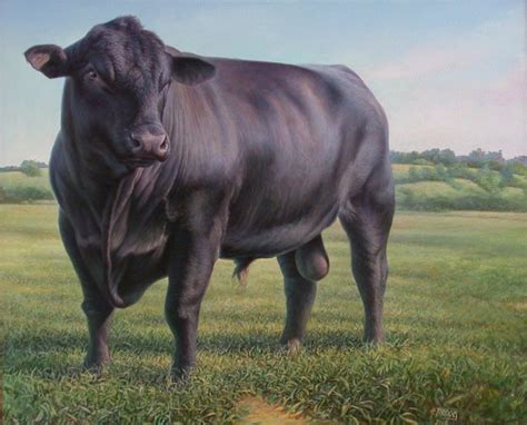 hans droog artwork black angus bull original painting oil animals art