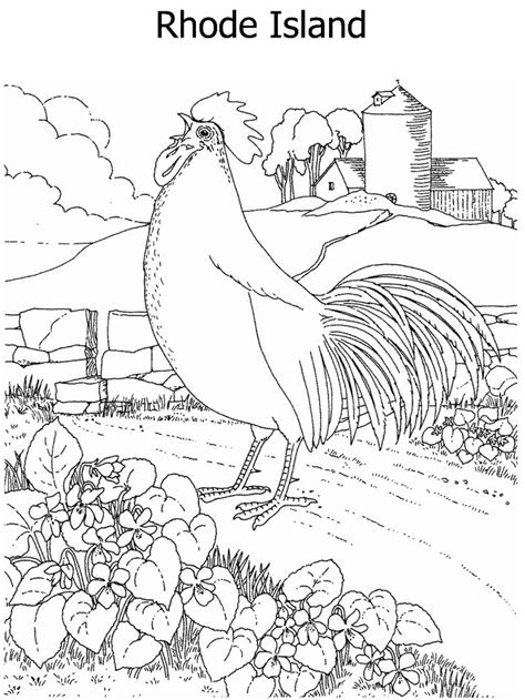 state flower  state bird coloring page bird coloring pages