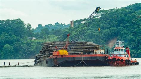 timber loaded  big barge  drag   tugboat cruising mahakam river editorial stock photo