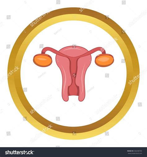Female Sexual Organ Icon Golden Circle Stock Illustration 536338750