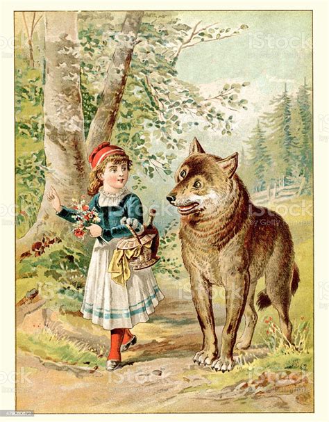 little red riding hood and the wolf stock illustration download image
