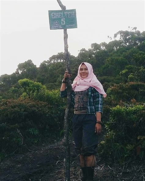 Gunung Sibuatan Panorama Tertinggi Di Sumatera Utara