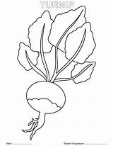 Turnip Coloring Pages Printable Kids Colorir Sheets Colouring Giant Vegetables Red Pasta Escolha Atividades Dia Da Bestcoloringpages sketch template