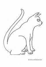 Cat Coloring Pages Pro Silhouette Beautiful Clipart Line Cliparts Eyes Print Library Clipartqueen sketch template