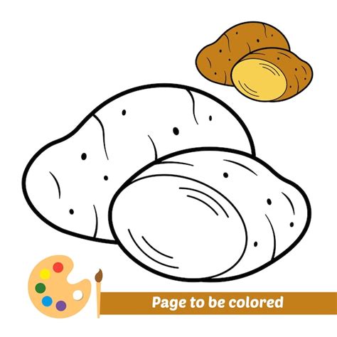premium vector coloring book  kids potato vector