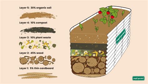 fill raised garden bed    soil layer   yield