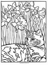 Coloring Amazon Cats Designs Heller Ruth Pages sketch template