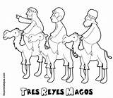 Magos Camello Navideños Fiestas sketch template