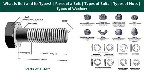 bolt   types parts   bolt types  bolts types  nuts types  washers