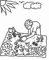 Coloring Pages Gardening Garden Planting Seed Flower Colouring Seeds Kids Flowers Plant Printable Color Raised Drawing Sheets Vegetable Jug Spring sketch template