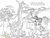 Coloring Pages Safari Zoo Leopard African Geek Animals Animal Scene Baby Snow Color Printable Print Colorings Getdrawings Getcolorings Jungle Ages sketch template