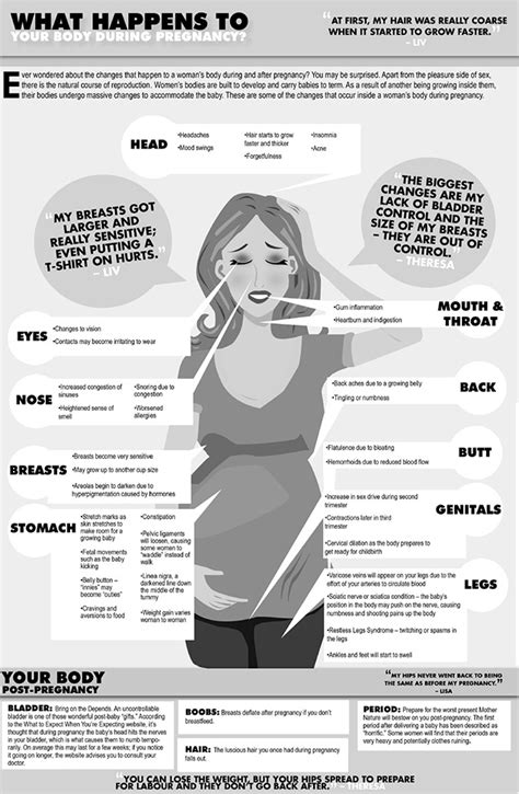 What Happens To Your Body During Pregnancy