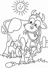 Cow Tulamama sketch template