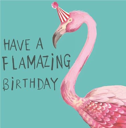 greeting cards   flamazing flamingos birthday card sooshichacha