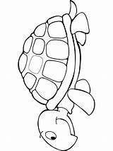 Schildpad Kleurplaten Schildpadden Dieren Uitprinten Krabbels Afkomstig Downloaden sketch template