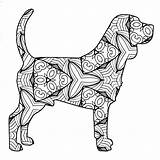 Mandala Beagle Adults Labrador Coloringbay Cottage Thecottagemarket Getdrawings Pinscher Miniature sketch template