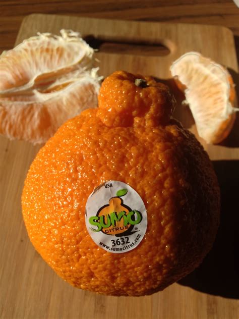 health lifestyle management sumo oranges