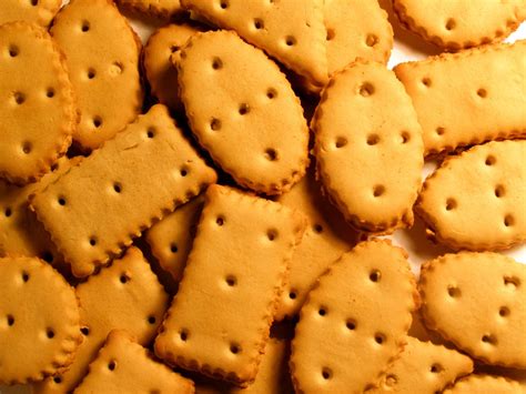 biscuits  photo  freeimages
