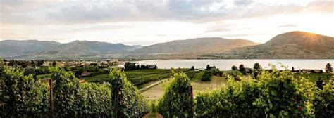 poplar grove winery virtual tasting  instagram giveaway  vancity