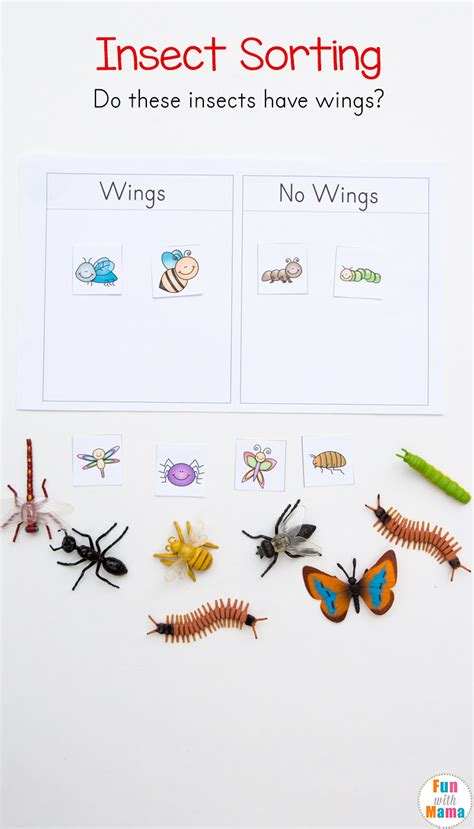 preschool insect theme sorting worksheet bug activities fun  mama