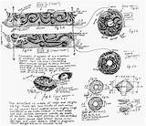 Glastonbury Spindle Whorl Tensions Present Past Times Diagram Carin Perron sketch template