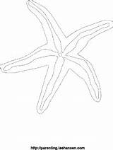 Coloring Star Fish Starfish Link Print Size Click sketch template