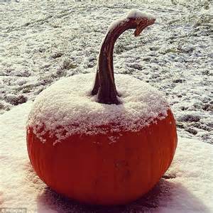 new york weather plummets to 43f and boston has coldest october 18 on record daily mail online