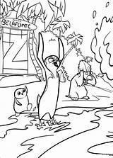 Surfs Locos Dibujos Disegni Fali Colorare Kolorowanki Glisse Rois Kleurplaten Onde Tekeningen Coloriez Dzieci Coloriages Malvorlage Kleurplaat Choisis Tekening Pinguim sketch template