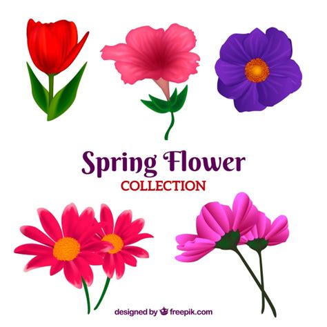 vector beautiful realistic spring flower collection