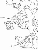 Tortoise Hare Fables Tortue Lapin Coloriage Rabbit Sheets Aesop sketch template