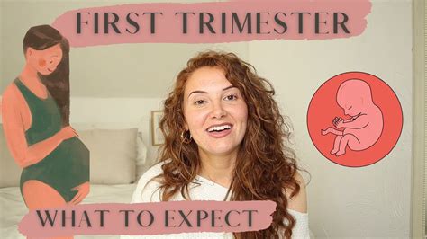 First Trimester Pregnancy Recap Symptoms Cravings And Tips Robyn