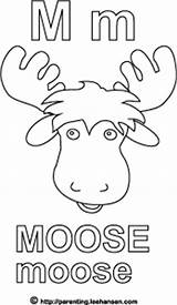 Moose Coloring Pages Template sketch template