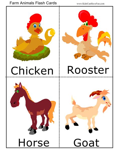 animal flash card   words chicken rooster  horse