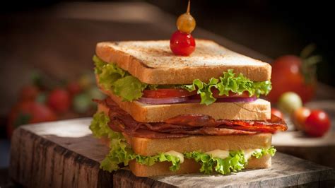 defines  sandwich   types  sandwiches curiosity untamed