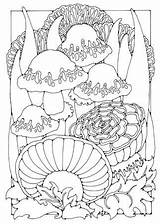 Coloring Pages Adults Mushroom Adult sketch template