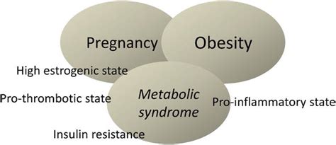 metabolic syndrome and pathogenesis of obesity related adverse outcomes