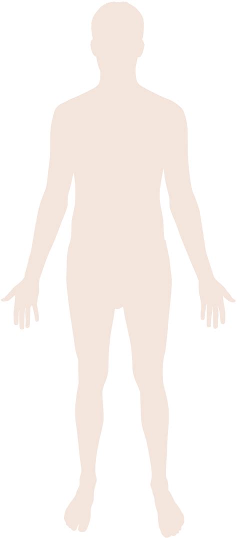 human body png  svg transparent background   images