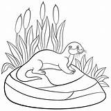 Otter Cute Coloring Pages Sea Drawing Getdrawings sketch template