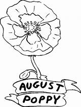 August Coloring Flower Poppy Pages Color Getcolorings sketch template