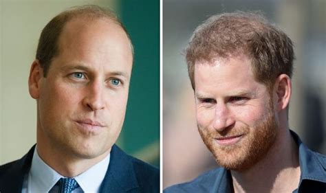 Prince Harry Condemned To Be ‘fall Guy’ For William To