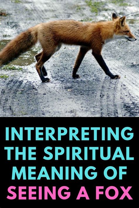 8 spiritual meaning of a fox in dream ideas dream bcg
